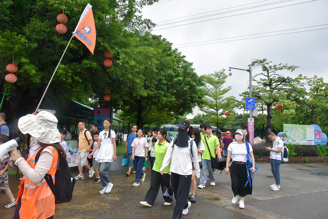 百万职工游绿美佛山企业职工出行队伍