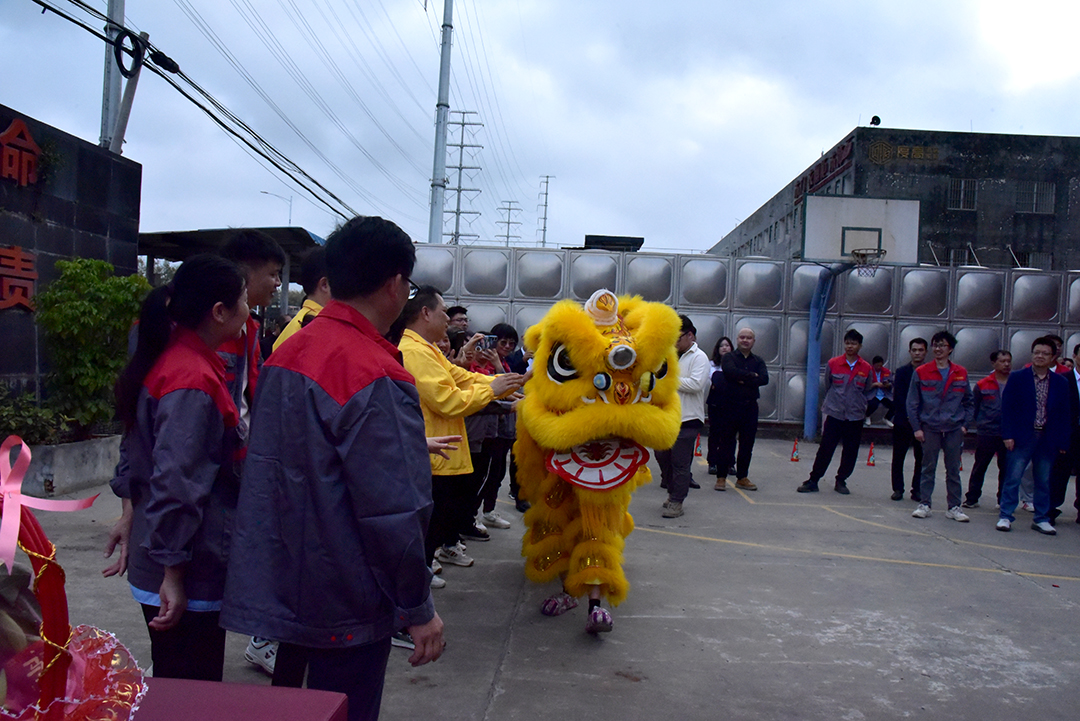醒狮献瑞 醒狮献瑞