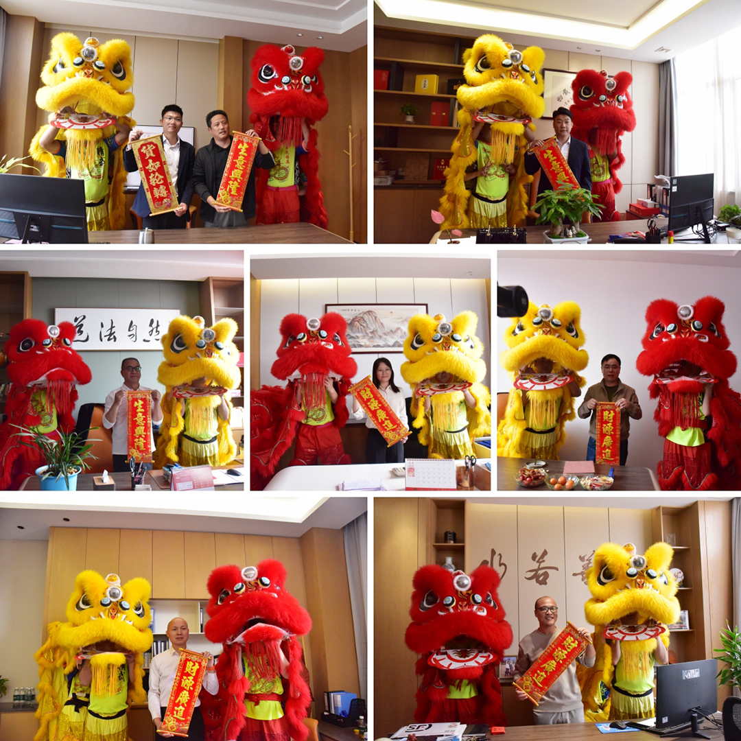 醒狮巡游 醒狮巡游