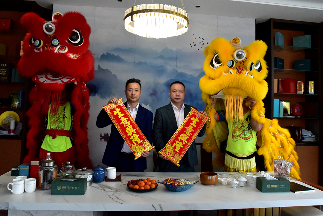 醒狮巡游 醒狮巡游