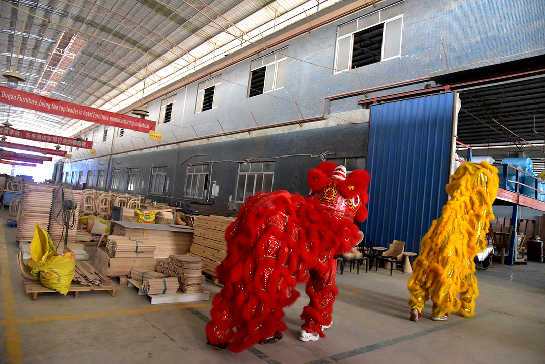 醒狮巡游 醒狮巡游